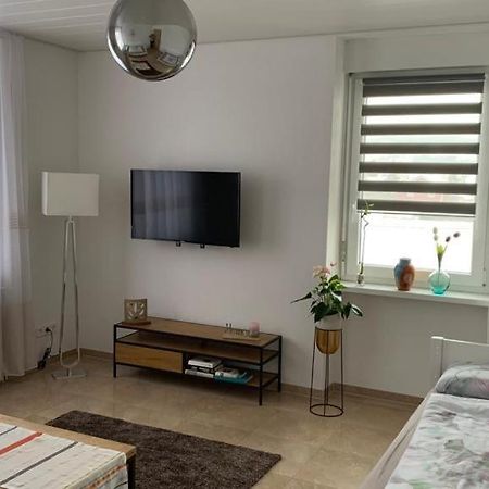 Grenznahe Ferienwohnung Mit 4 Schlafzimmern グレンツァッハ・ヴィレン エクステリア 写真
