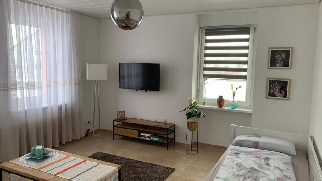 Grenznahe Ferienwohnung Mit 4 Schlafzimmern グレンツァッハ・ヴィレン エクステリア 写真