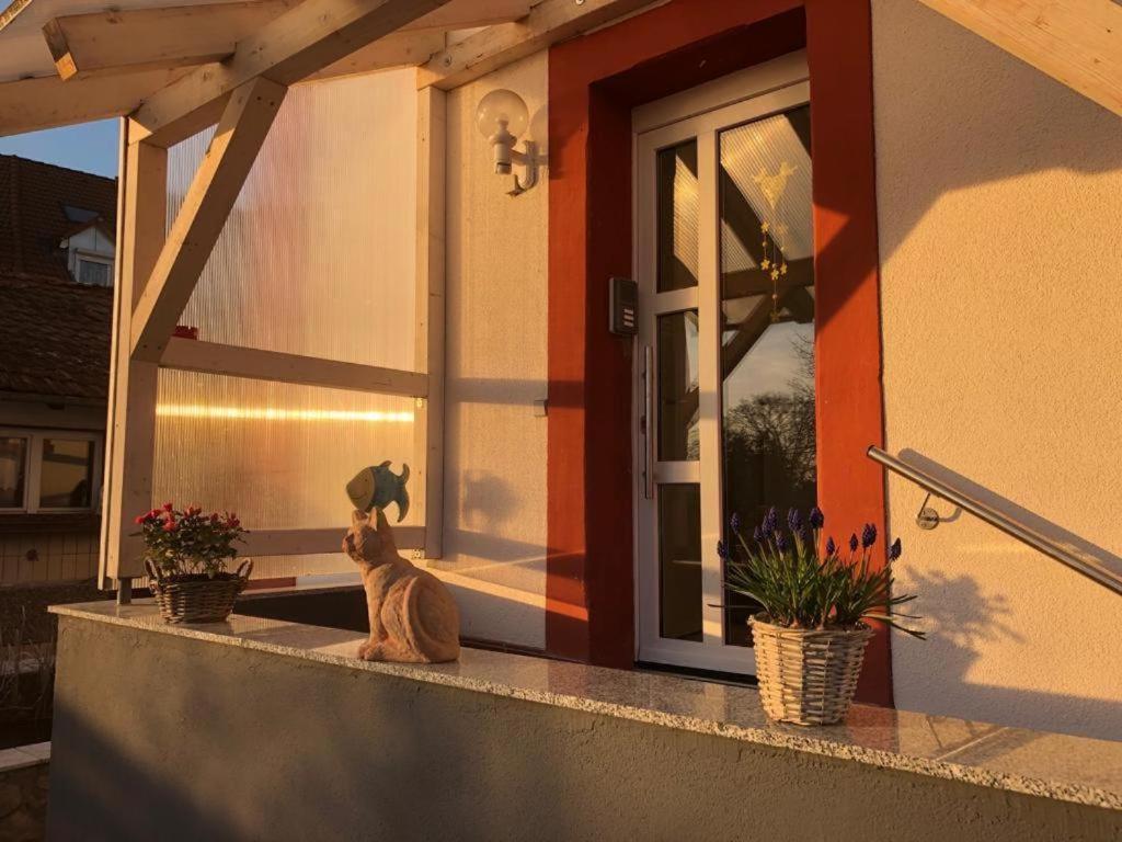 Grenznahe Ferienwohnung Mit 4 Schlafzimmern グレンツァッハ・ヴィレン エクステリア 写真