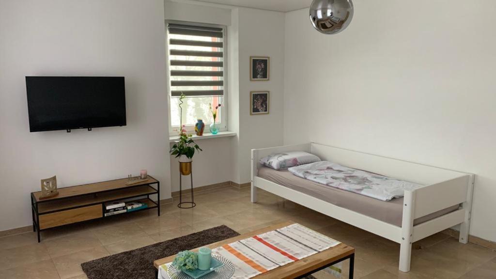 Grenznahe Ferienwohnung Mit 4 Schlafzimmern グレンツァッハ・ヴィレン エクステリア 写真